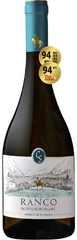 Casa Silva Lago Ranco